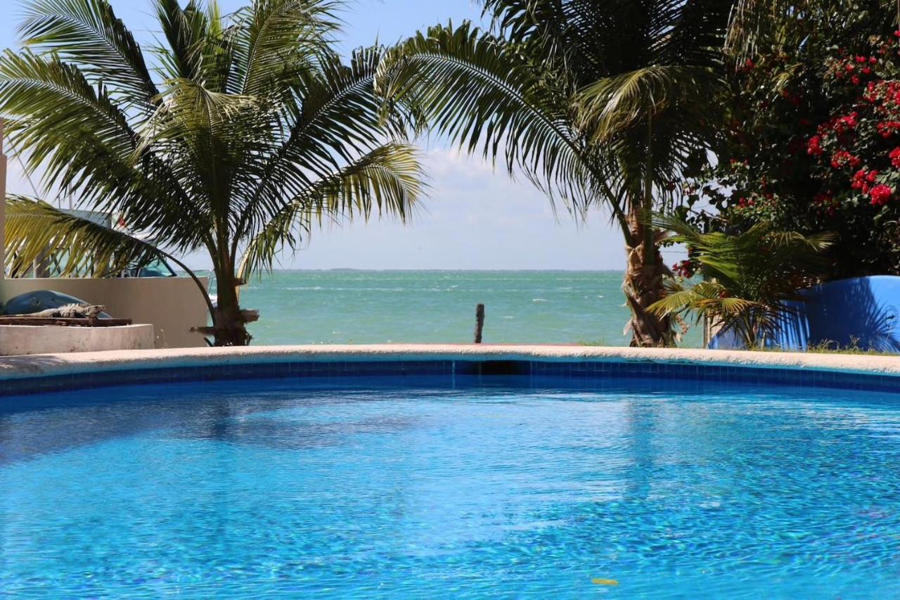 Seaak Cancun Rentals Buitenkant foto